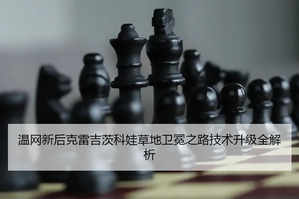wen-wang-xin-hou-ke-lei-ji-ci-ke-wa-cao-di-wei-mian-zhi-lu-ji-shu-sheng-ji-quan-jie-xi-2-425.jpg